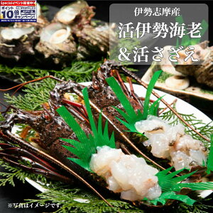 Gg[Ń|Cg10{yɐ ےrzɐuY ɐCV AZbg(ɐCV 2A 10`12)