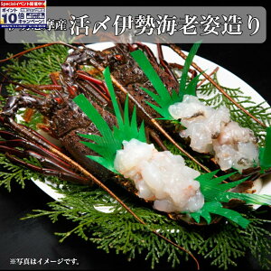 Gg[Ń|Cg10{yɐ ےrzɐuY YɐCVp(ⓀEHp) 2(M)