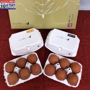 Gg[Ń|Cg10{yÉĒÁzxm̖܂