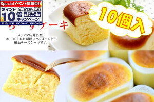 Gg[Ń|Cg10{yZgzƂ낯`[YP[L10