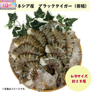 Gg[Ń|Cg10{yⓀzubN^CK[сi{BE6/8TCY28OjyYnFChlVAz