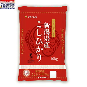 Gg[Ń|Cg10{y}gCXzߘa7NxY VY Ђ 10 kg