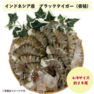 yⓀzubN^CK[сi{BE6/8TCY28OjyYnFChlVAz