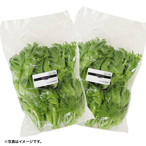 yÉ `c؁zk͔|^Xi_jytACXz500g×2