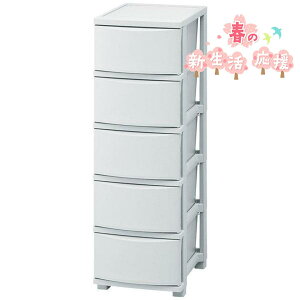 yACXI[}zX`FXg5i(CLN-325 u[O[)