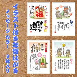 �y�t�^�o�N���p�b�N�z �C���X�g�t���N��͂��� ���b�Z�[�W �J���[�i3������j