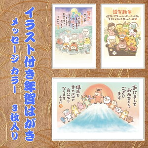 �y�t�^�o�N���p�b�N�z �C���X�g�t���N��͂��� ���b�Z�[�W �J���[�i3������j