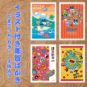 �y�t�^�o�N���p�b�N�z �C���X�g�t���N��͂��� ���܂����� �J���[�i3������j