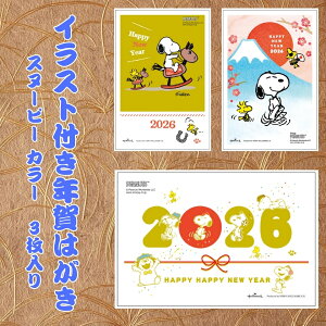 �y�t�^�o�N���p�b�N�z �C���X�g�t���N��͂��� �X�k�[�s�[ �J���[�i3������j