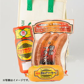 【明方ハムギフト】明方ハム1本・明方ボロニアソーセージ1本・醤油フランク（3本入）1パックセット(FSH02)