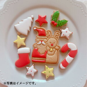 yԌzym LILLYzACVONbL[l(NX}X)12/15 15܂ł̏