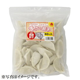 【静岡 浜松餃子】遠州黒豚餃子　40個入 (タレ付)