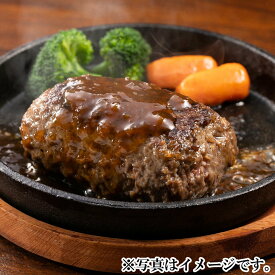 【静岡浜松】ジューシーくんハンバーグ（180g×2個入（ソース付））×2袋セット