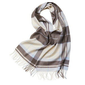 y[zJV~ }t[ JV~A 100 唻  fB[X `FbN  {[_[ ubN JV~Xg[ H ~ ΍ ݊ uh Mtg v[g a 蕨 ޏ a