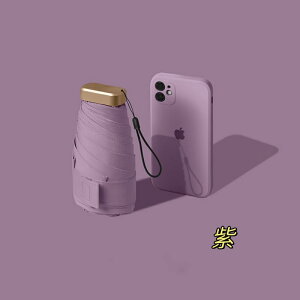 P JP Of[VF܂肽ݎP Jp t܂ 6{ Y fB[X ܂ݎP  ~J΍ 䕗Ή xOXt@Co[ [|[`t jp Mtg