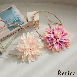  ANZT[   RT[W t[   \ Ă΂ p[eB[ I  Ǝ 񎟉 hX l t Ԋ zCg w }} ANZ 