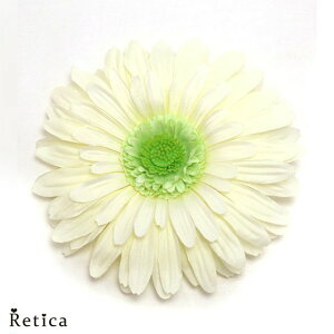  ANZT[   RT[W t[   tH[} \ EGfBO Ă΂ p[eB[ I  Ǝ 񎟉 t Ԋ zCg w A