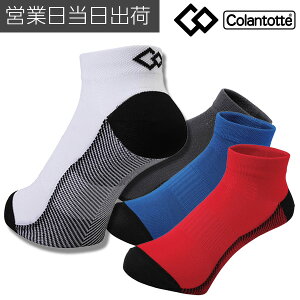Rgbe Pro-Aid Socks for Run \bNX C jO ᔽ  Ȃ  ʋC WMO fB[X Y jZbNX Mtg v[g HMtg