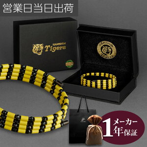 RAtH[X[v _^CK[Xf 70cm COREFORCE lbNX uXbg Ki ANbg ANZT[ ̊ oX St XCO  򋗗 Abv  Y f