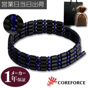 RAtH[X[v sXY 70cm COREFORCE LOOP LAPIS LAZULI lbNX uXbg ANbg ANZT[ ̊ oX St XCO  򋗗 Abv  Y fB