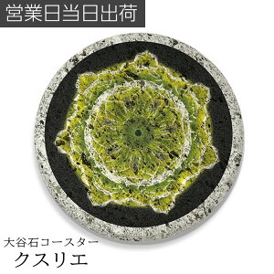 J NXG R[X^[  jJ wm ێRC ďC