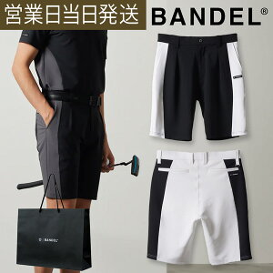 of SIDE PANEL SWITCH HALF PANTS StEFA Y n[t pc V[gpc HMtg