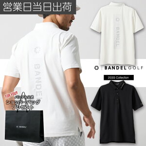 of St EFA SWITCH LOGO  POLO SHIRTS |Vc HMtg