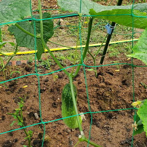 Axlbg 鐫 Ap gXlbg v  A oRlbg LE ʕAؗp gXlbg ϋv AT|[g g}g GhE J{` A  ʕ