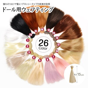 h[ EFtg 15cm/25cm VL[ EFteBO Xg[g  uCX EBbO Of  wig Bjd l`  f i Jc ̖ nhCh  DIY wA ё  1{/3{Zb