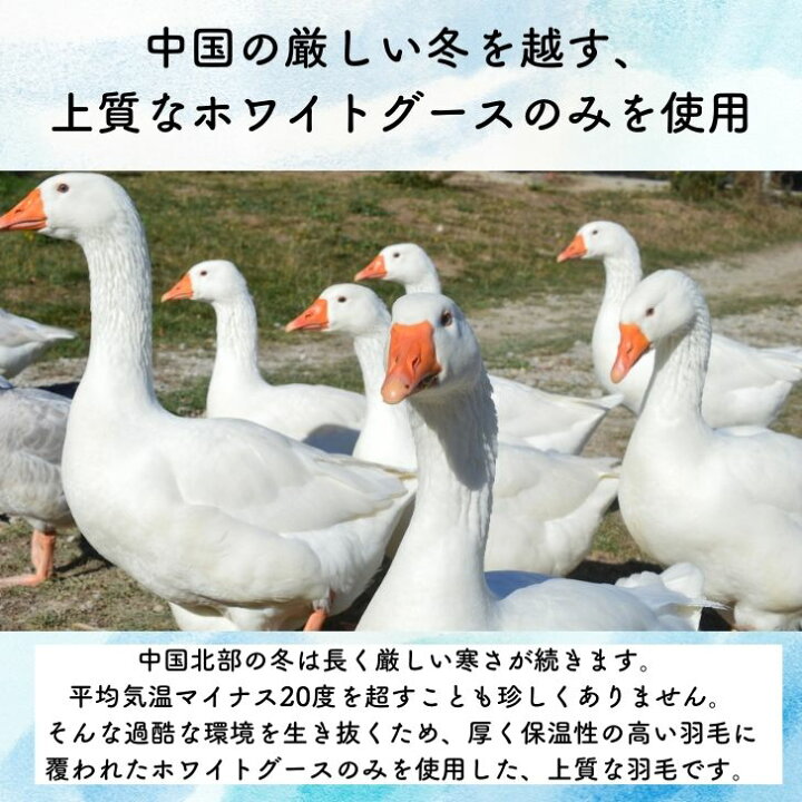 楽天市場】セミオーダー 羽毛布団 最高級ダウン95％使用 ホワイト 