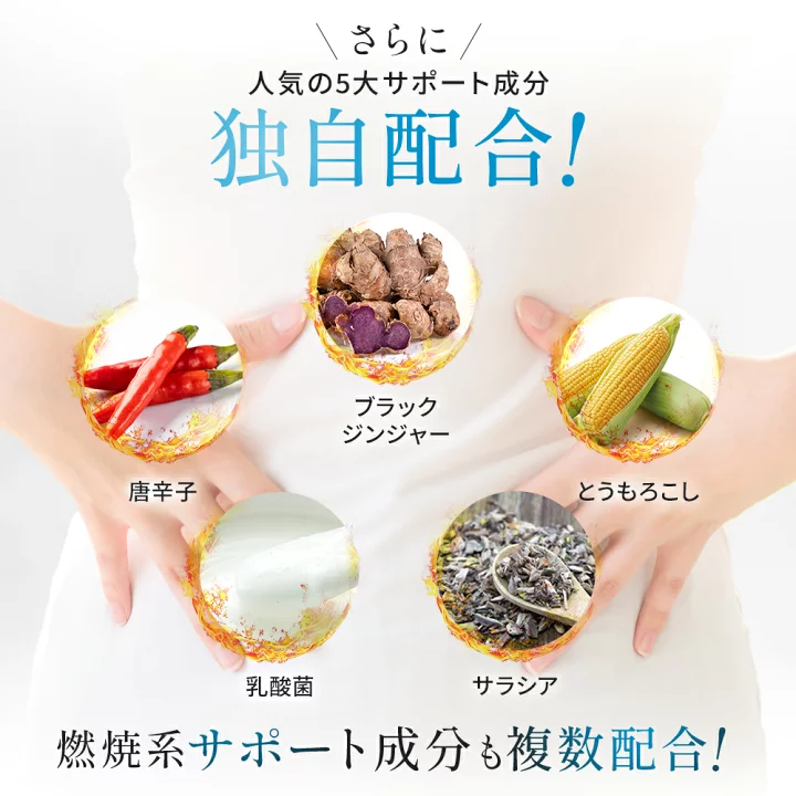 楽天市場】【公式】wellreco 糖脂サプリメント 血糖値 糖質 