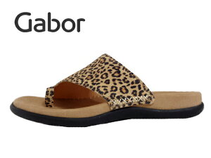 Gabor(K{[)63.700.32 Ip[hy2025SSzytĐVzfB[XT_ bNXgOT_ gO Ip[h JWAT_ hCcV܃u