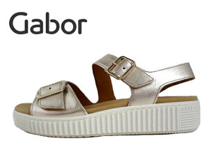 Gabor(K{[)63.601.62 sNS[hy2025SSzyIXXzfB[XT_ obNxgT_ GKg JWA xN^Cv hCcV܃uh