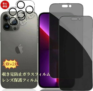 `ݖh~tB iPhone 16 Pro KXtB(2) + JtB(2) ACtH16 `h~KX `h~vCoV[ی ȒP\t z dx9H Uh~ ϏՌ C
