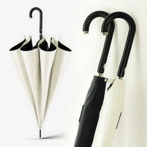 P fB[X/Y  P JpP P JP ^b` 傫103cm ~J΍ n ϕP naP H 8{ P UVJbg SՌ