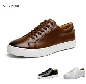  Xj[J[ Y U[   {v rWlXV[Y ʋ 20 30 40 50 v[g ̓ o^C