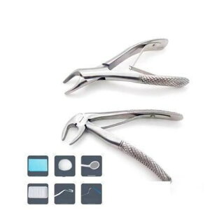 �����E���L�p ���Ύ�� �y���` �� ���� �f���^���P�A �z�[���P�A �L �v�������p