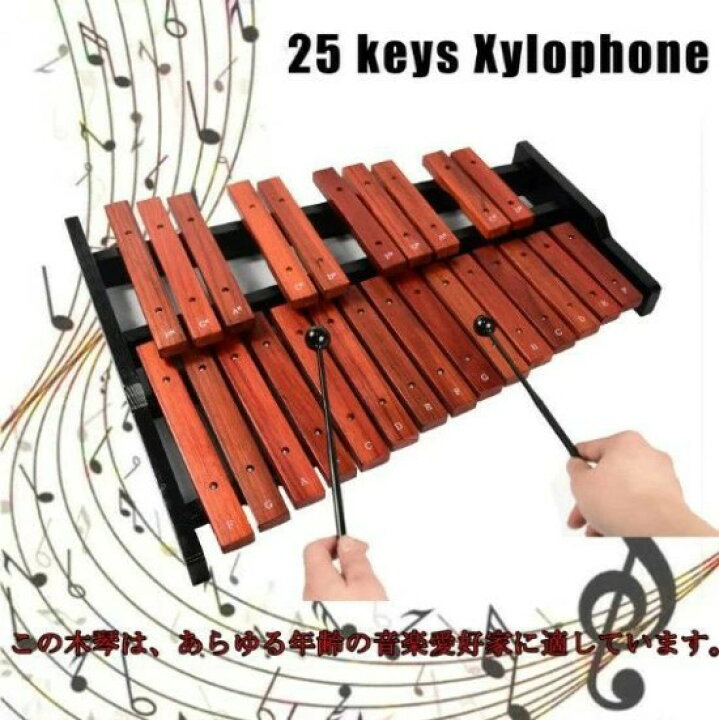 楽天市場】本体) (25音 2本マレット付き パーカッション 卓上木琴 木琴 