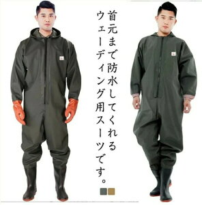 ނ Sgh C h tC t[ht `FXgnCEF_[ fB[X  Y z ʋC hȂ cA JV H _  jp Y Iׂ2^Cv 