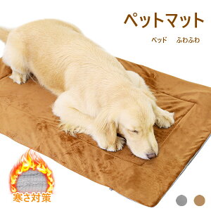  xbh }bg ӂӂ 2color NbV ybg}bg H~  ^ p Lp {A PA}bg Q ybgObY pi ѕzc  Vv p p h 