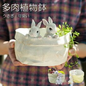 「8%offクーポン」多肉植物鉢 植木鉢 プランター ミニ 多肉 苔 コケリウム 苔リウム 箱庭 鉢 可愛い 動物 おしゃれ サボテン 多肉植物 寄せ植え 置物 装飾用 装飾 インテリア かわいい 樹脂 テラリウム 容器 卓上 ガーデニング 母の日 ウサギの植木鉢 プレゼント