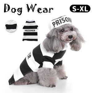 nEB hbOEFA  ybg  ^ l ̕ ybgpi halloween p j 킢 RX`[ Cxg  pȒP LOʐ^ Be  ybgG