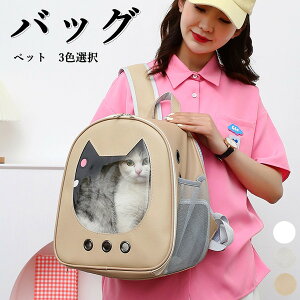 ybgobO bN 3FI   L ˂ lR LobO ybgpi PUv U o LobO y ^ ybgobOLpi ʋC 傫Lp ό`Ȃ