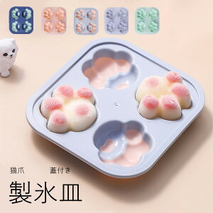 XM L Wt X L̒ ACXg[XM Xi X@ o₷ a6.5CM _炩 ACXN[ ACXr[ EBXL[ 蕨 v[g ₨pX