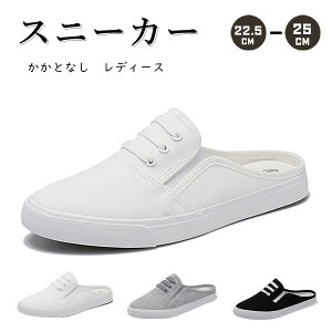 uN[|zzv ƂȂ Xj[J[ fB[X Xb| LpX V[Y ʋC y j[J[ EȒP ~ ₷ ʋ ʊw JWA zCg O[ u