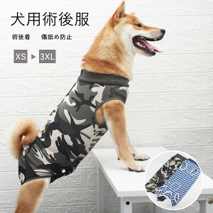  p㕞 앞 ^ ^ 2COLROR ^p lr p㒅 pEFA 畆ی  p D    GUxXJ[ rߖh~ ȂtBbg SnQ   X