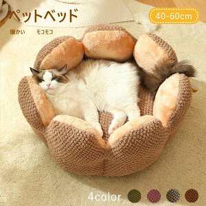 L xbh Ԍ^ ʔN 4color ^E^E^pxbh Lpxbh ybg xbh pi Lpi ybgpi ybgxbh 􂦂 V 薰 kۉh g ʔN RR