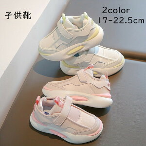 qC qV[Y LbY Xj[J[ C LbY V[Y X|[c C V[Y ̎q t@[XgV[Y q Mtg 蕨 j t@bV w ^C w ʊw t  H 蕨 