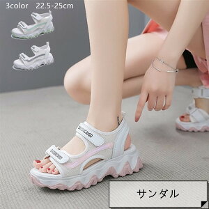 T_ 3color 22.5-25cm X|[cT_ X|[c T_ fB[X ̎q  RtH[gT_  r[`T_ y C ₷ r[` Xj[J[ AEg