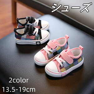 uN[|zzv qC 2color LoX Xj[J[ xr[Xj[J[ t@[XgV[Y LbY xr[V[Y Ԃ q C ʋC ~ c j̎q ̎q ʊw AEg